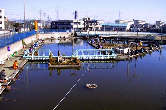 上尾園の釣り堀