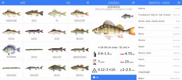 アプリ魚の惑星