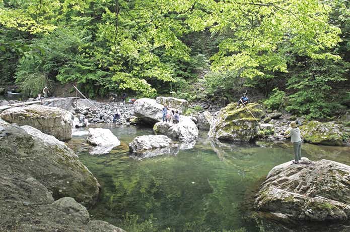 埼玉　釣り堀