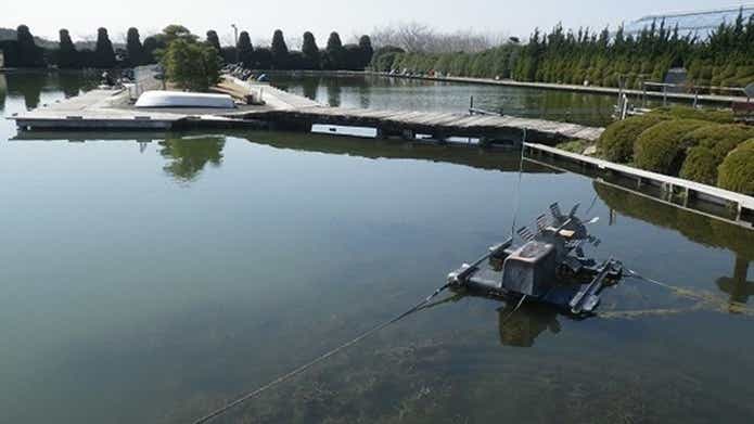 谷養魚場