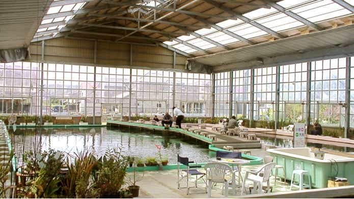 fishland