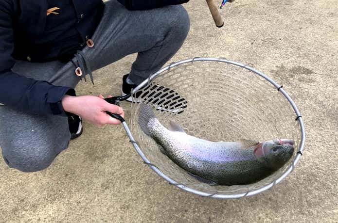 トラウトルアーで釣った大型ニジマス