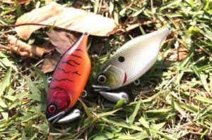 マイキーでデカバスを釣ろう！マイキー全シリーズ一挙公開