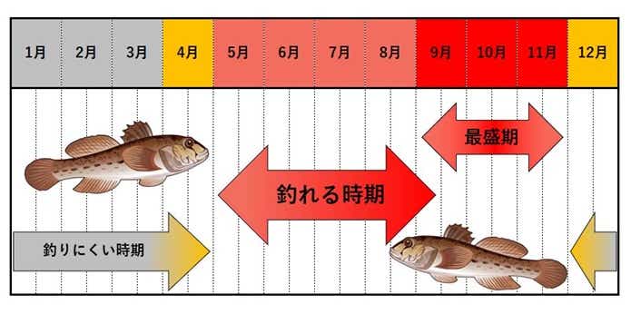 「ハゼ釣り」入門！ド・ハマりするほどの奥深い釣りを解説！ | TSURI HACK[釣りハック]