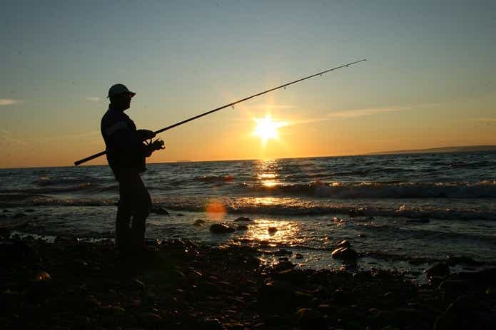 夜釣りは魚の食事タイムが狙い目