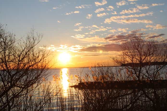 霞ヶ浦のバス釣りの風景の画像