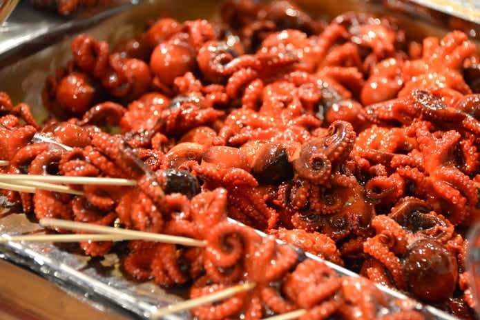 イイダコ釣っておいしく食べよう！