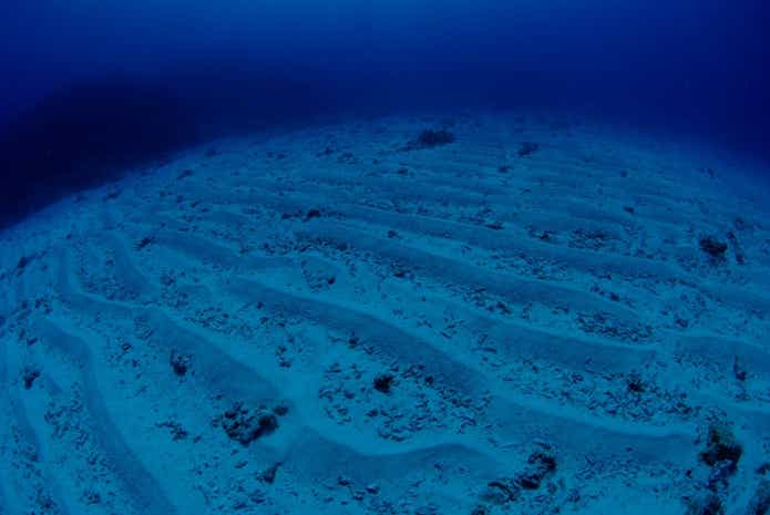 タコ釣りの仕掛けは海底をズルズルと引いてきます