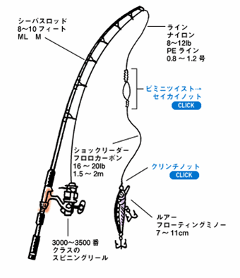 ヒラメ釣りのタックル