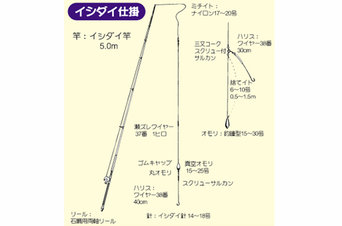 石鯛釣りを始めよう！入門仕掛けと、時期や場所、釣り方のコツ！ | TSURI HACK[釣りハック]