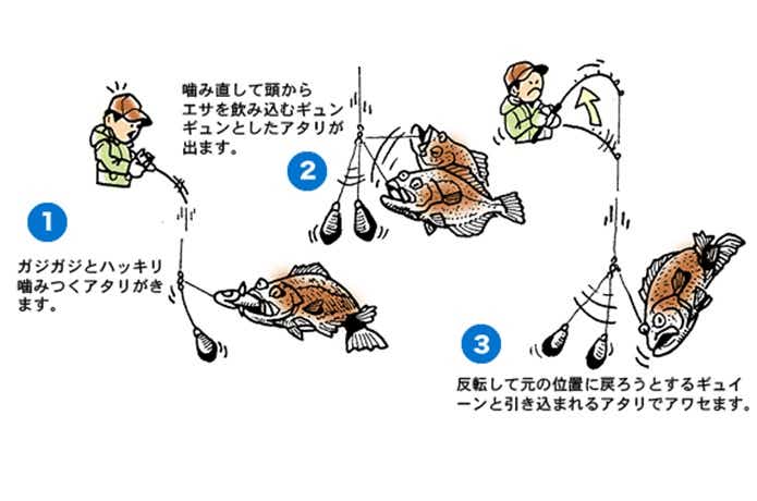 ヒラメのアタリの取り方