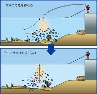 フカセ釣りで餌を漂わす
