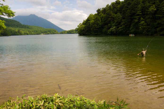 様々な釣具で楽しむ画像