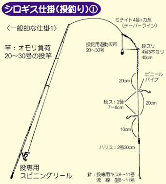 投げ釣りのシロギス仕掛け