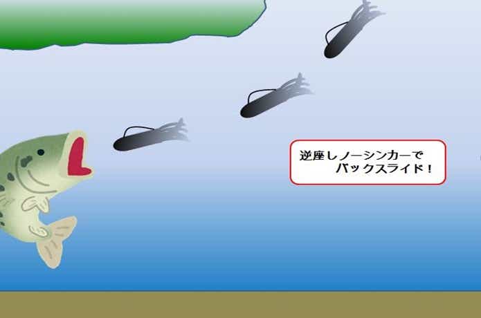 チューブワーム　バックスライド　画像