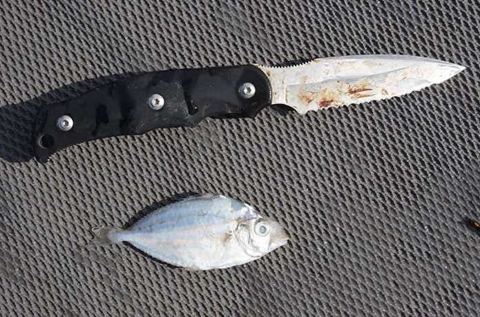 ボーズレスのナイフの画像