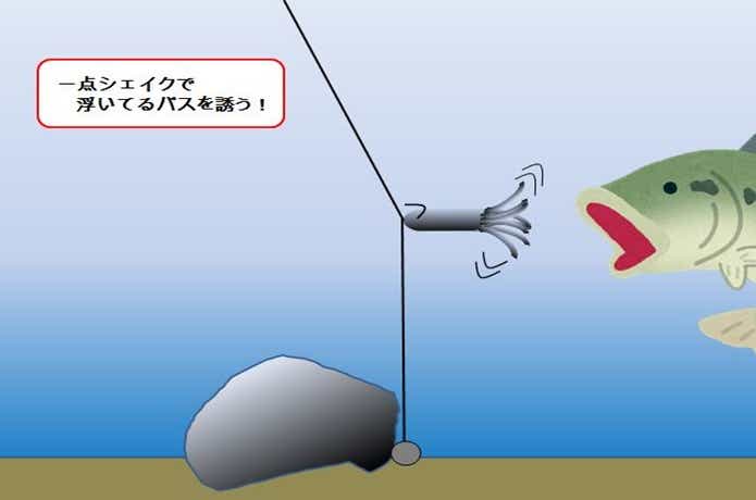ダウンショットリグ　水中　画像