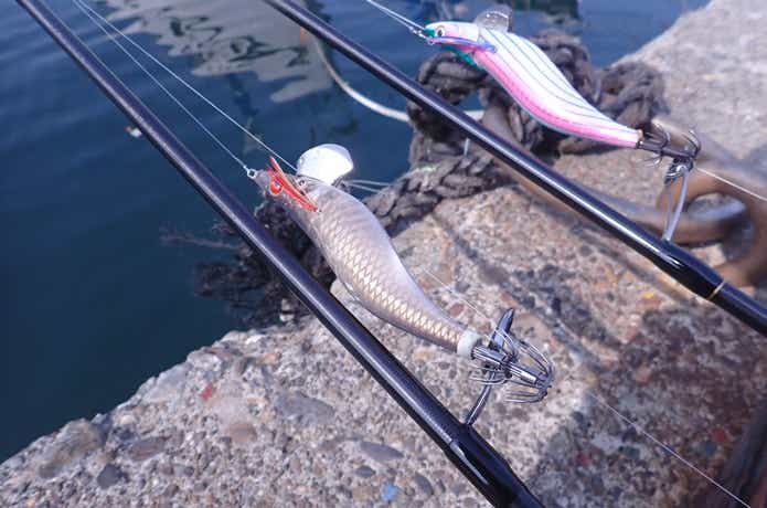 エギングのリーダーの画像