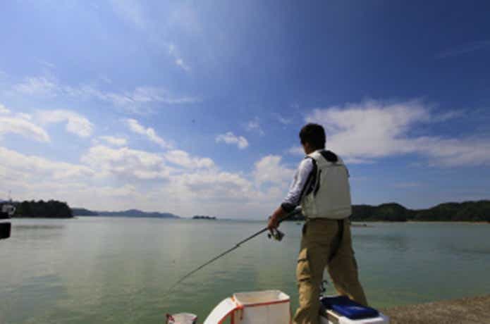 防波堤　チヌ　釣り　画像