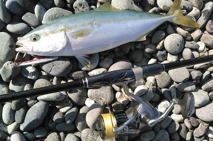 スピニング　投げ釣り　画像