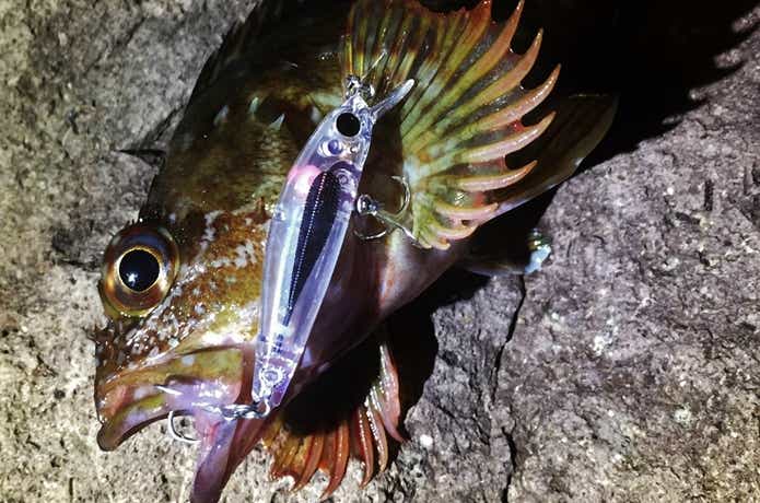 ジップベイツのルアー