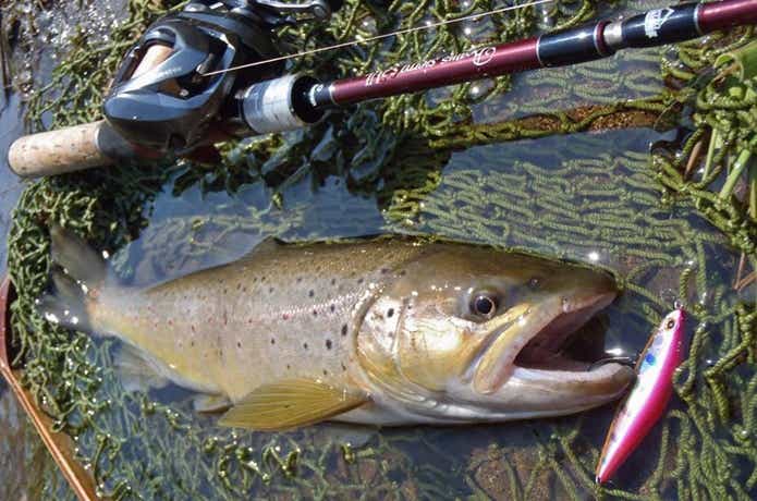 17522780_1293761570720041_7559878197794670216_n