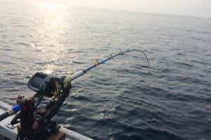 落とし込み　船　画像　海