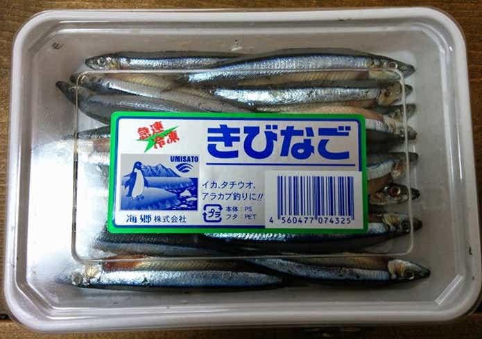 キビナゴ餌