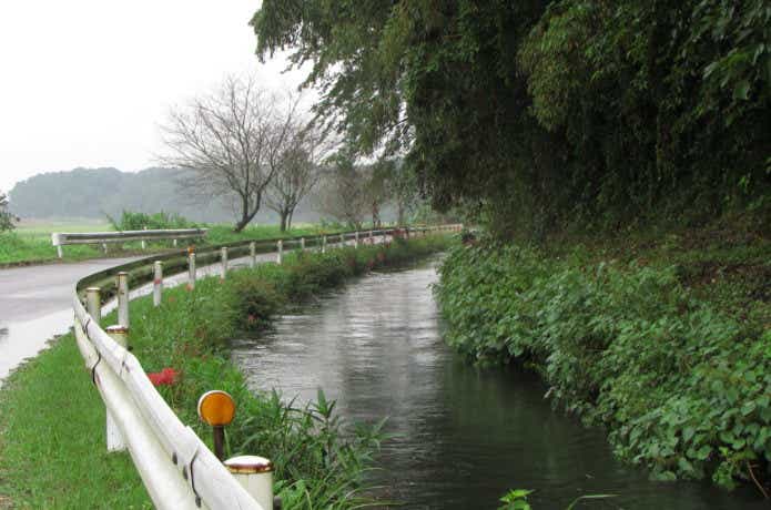 霞水系のバス釣りの水路の画像