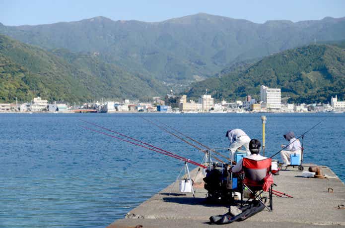 海釣りの様子