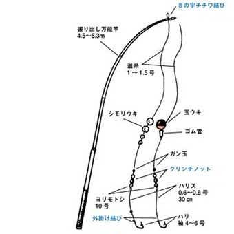 ウミタナゴを釣る時の仕掛け