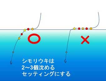 シモリウキのセッティング