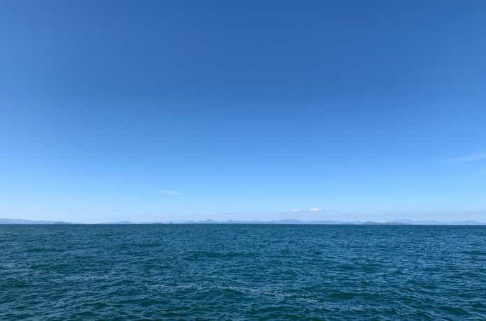 回遊魚釣りの画像