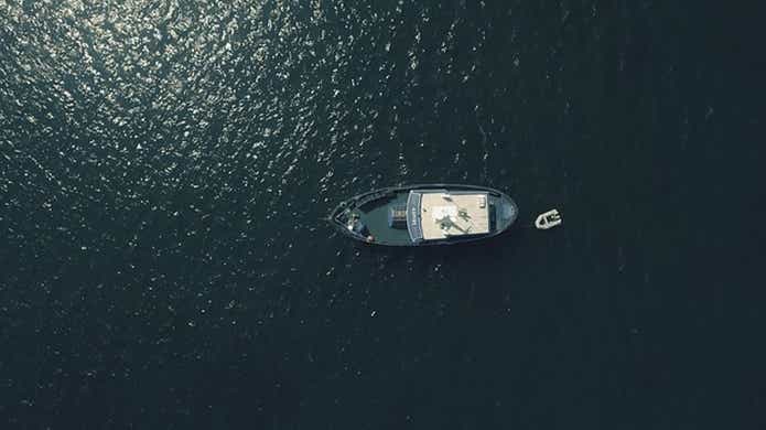 海