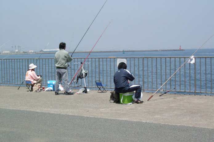 海釣りをしている画像