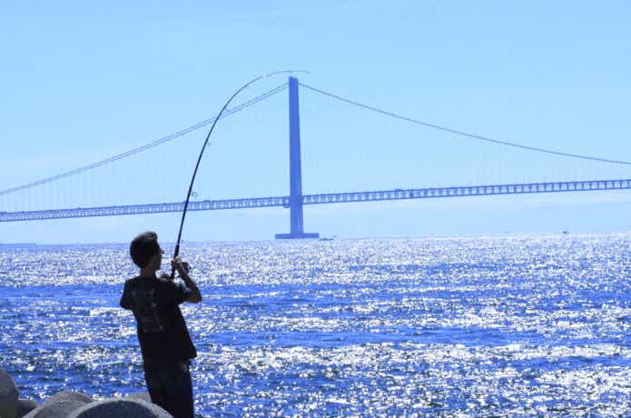 釣り　ベイブリッジ