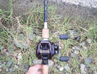 ベイトタックル