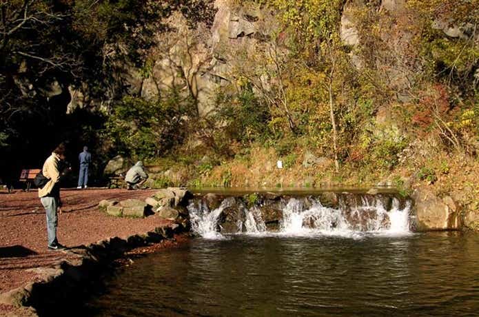 すそのフィッシングパーク渓流