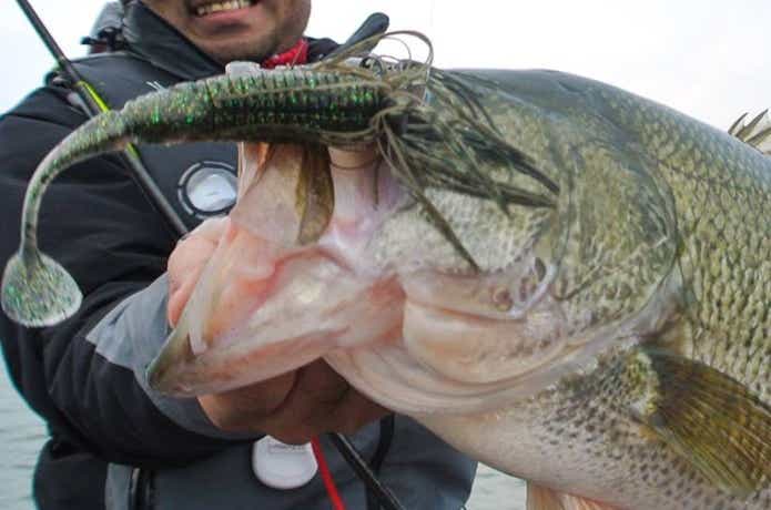 PDチョッパーの画像