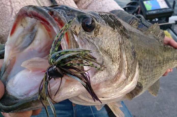 ザップ製品PDチョッパー