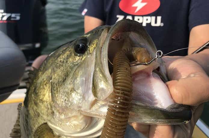 パイルドライバーの画像