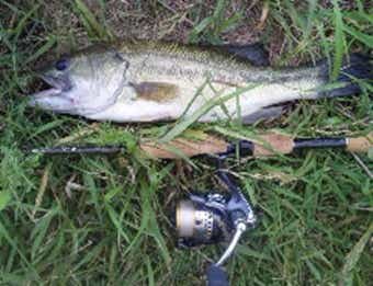 スピニングタックル