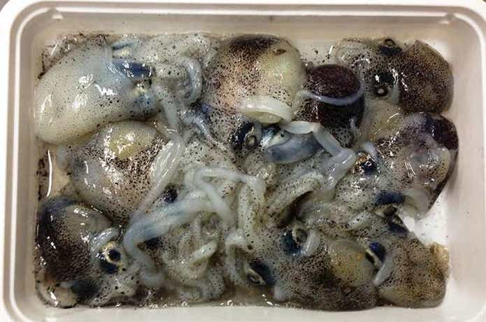 パックに入ったミミイカ