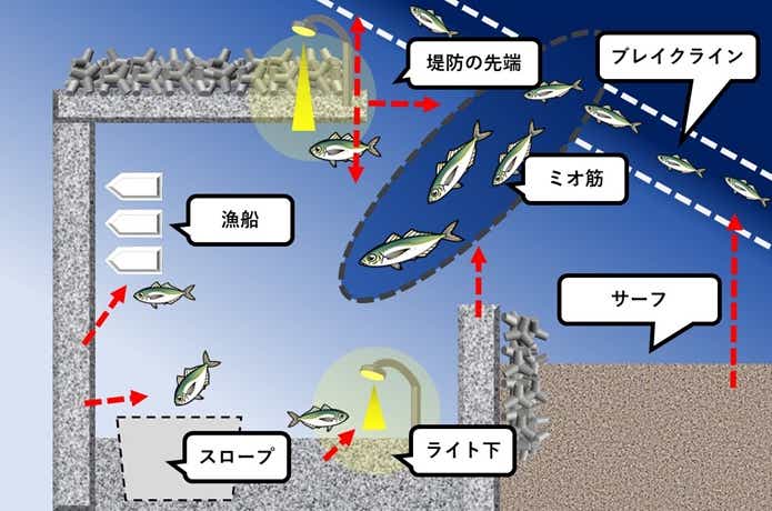 アジングのポイント