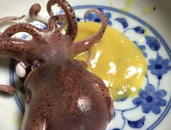 ミミイカを酢みそで食す