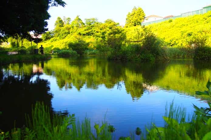 釣りパラダイスの池の画像