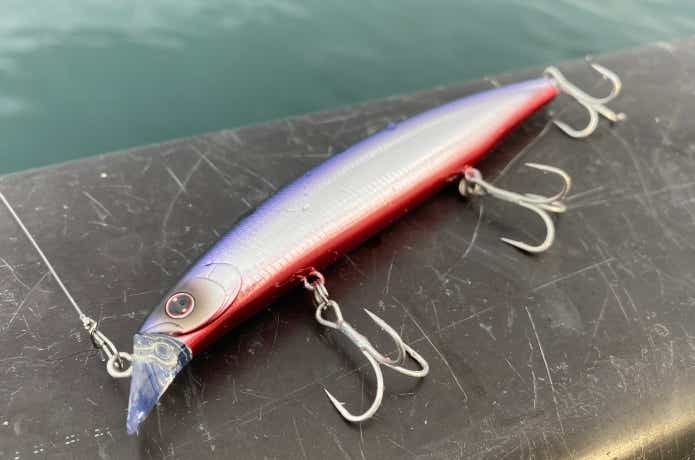ヒラメ釣りの画像
