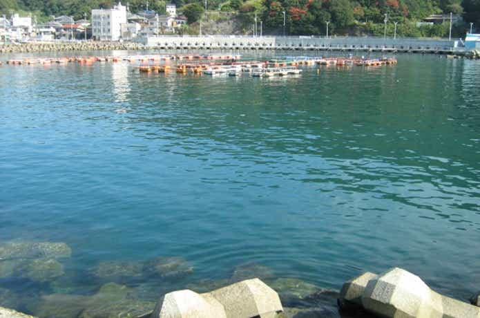 小島養魚場