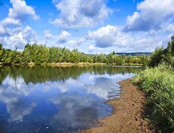 野池の画像