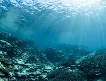 海底の画像